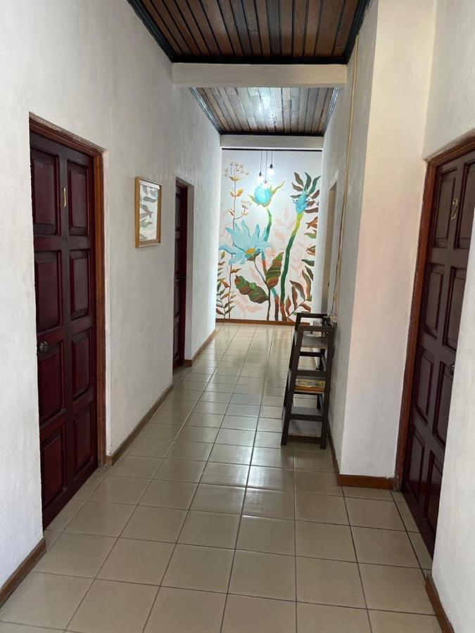 Hotel Villa Margarita Flores Zewnętrze zdjęcie